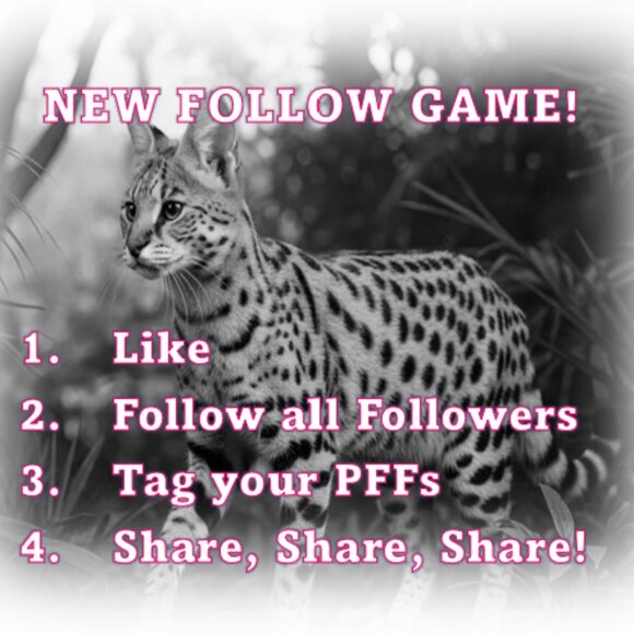 Other - NEW FOLLOW GAME!!!